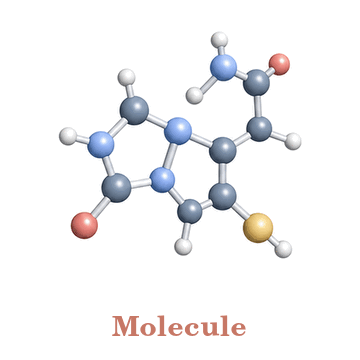 Multimodal LLMs for Science logo